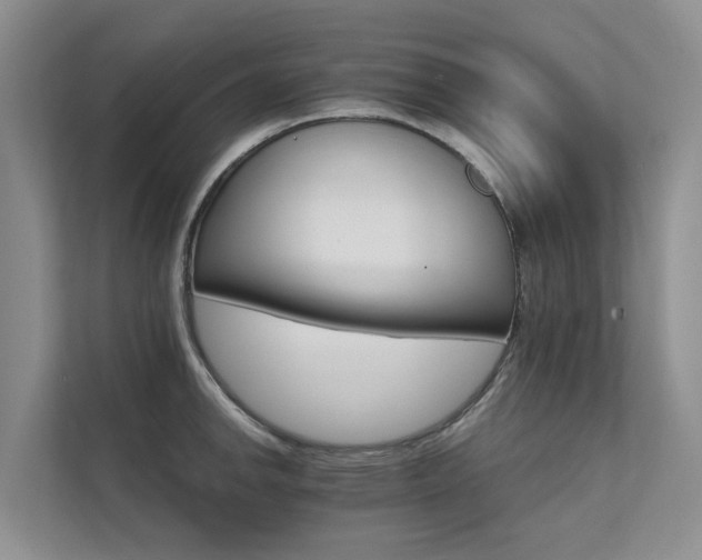 X0000111581142200907161419