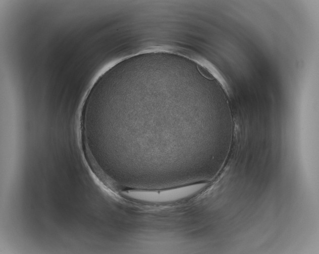 X0000111581143200907161419