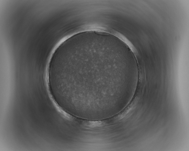 X0000111581144200907161419