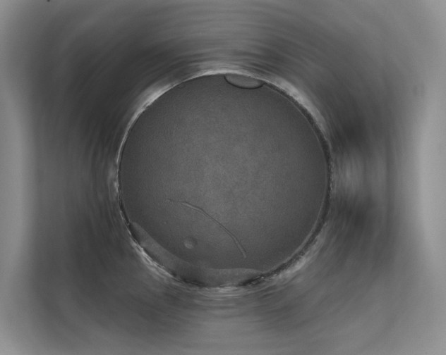 X0000111581145200907161420