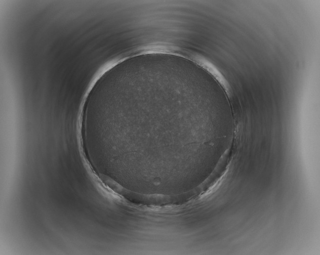 X0000111581146200907161420