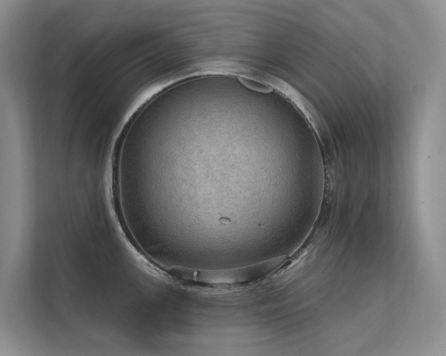 X0000111581147200907161420