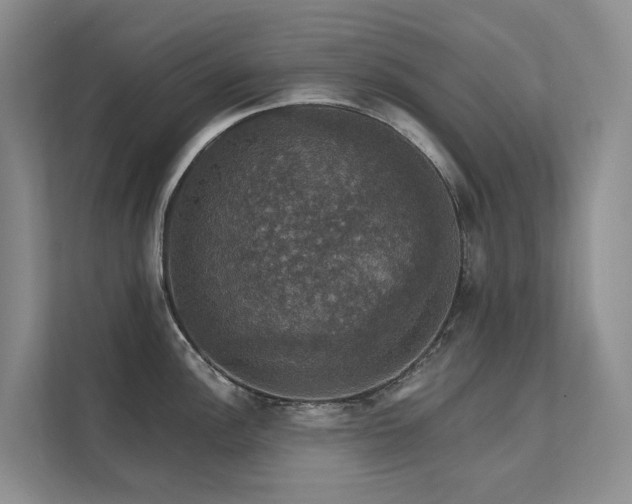 X0000111581148200907161420