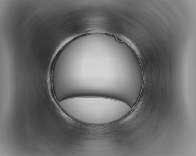 X0000111581149200907161420