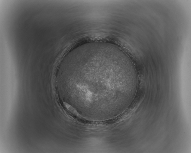 X0000111581153200907161419