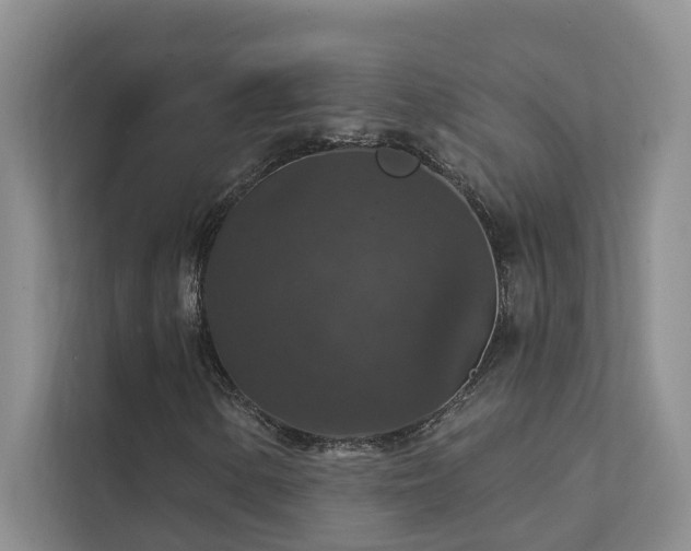 X0000111581154200907161419
