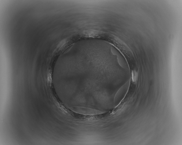 X0000111581155200907161419