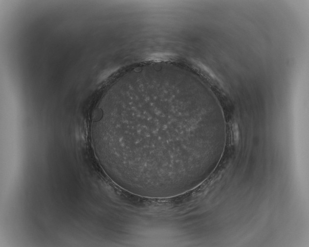 X0000111581158200907161419