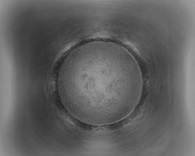 X0000111581159200907161419
