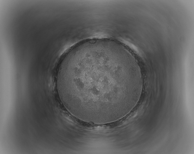 X0000111581160200907161419