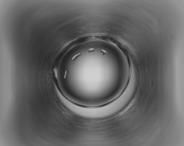 X0000111581161200907161419