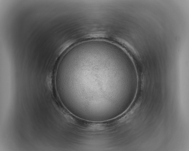 X0000111581162200907161419