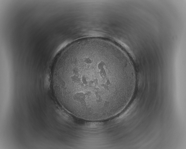 X0000111581163200907161419