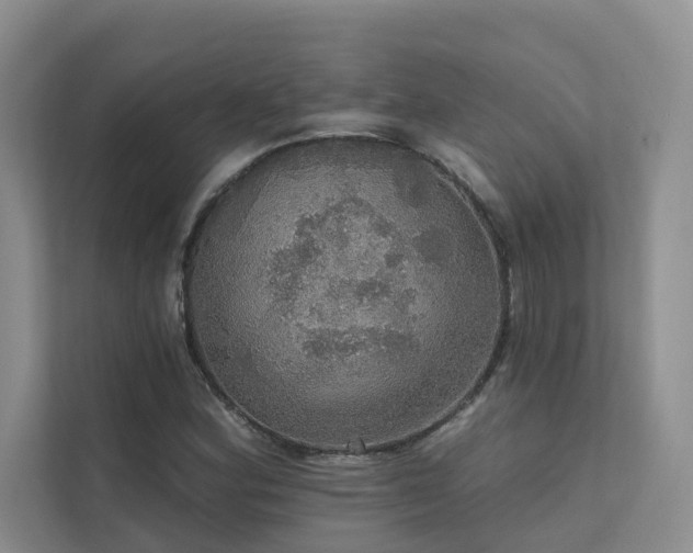 X0000111581164200907161419
