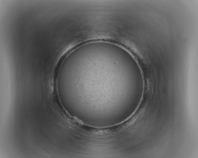 X0000111581165200907161419