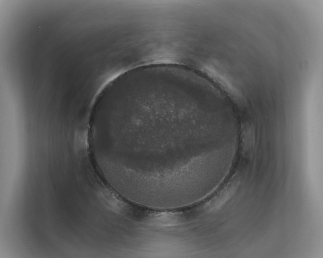 X0000111581166200907161419