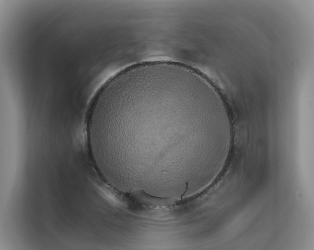 X0000111581167200907161419