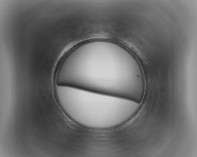 X0000111581168200907161419