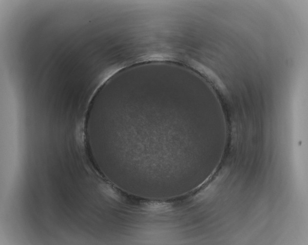 X0000111581170200907161419