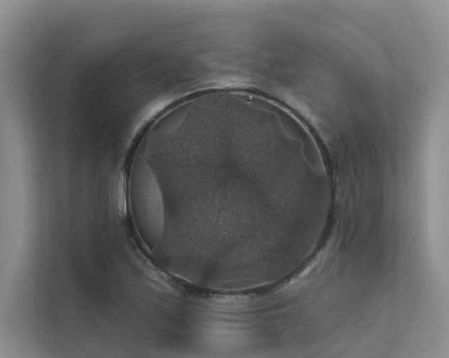 X0000111581171200907161419