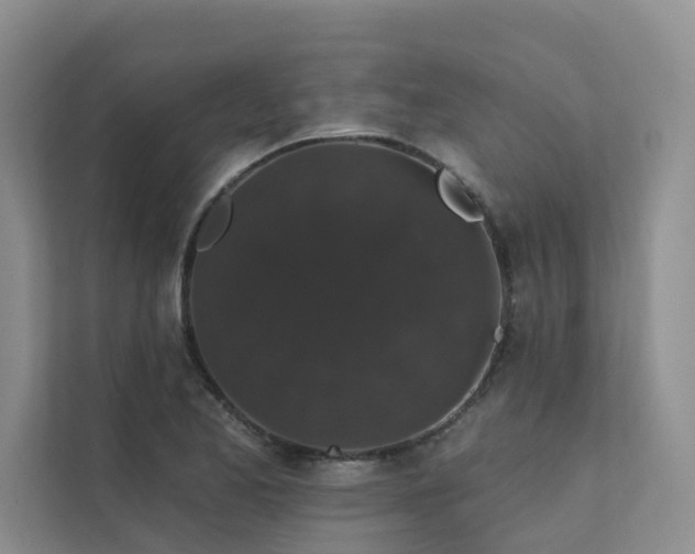 X0000111581173200907161419