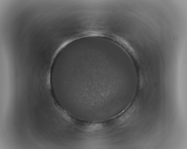 X0000111581174200907161419