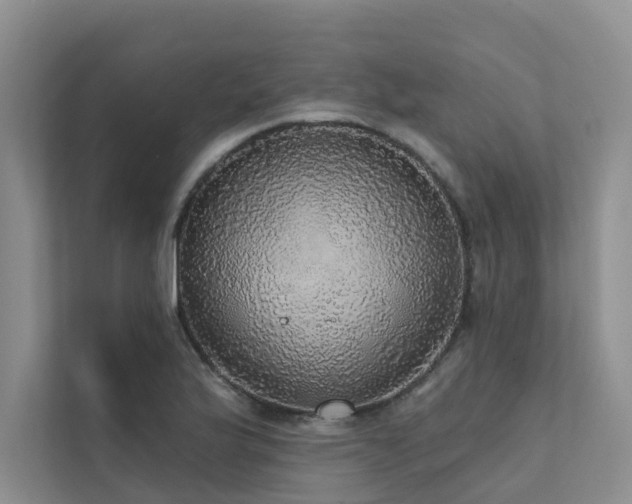 X0000111581175200907161419