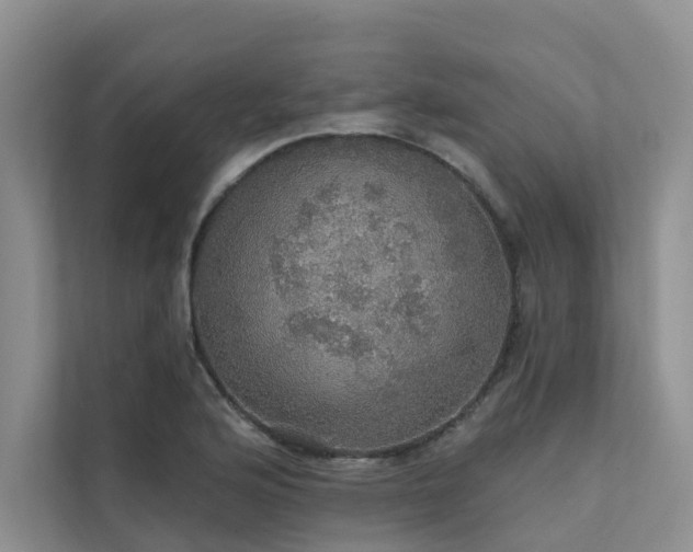 X0000111581176200907161419