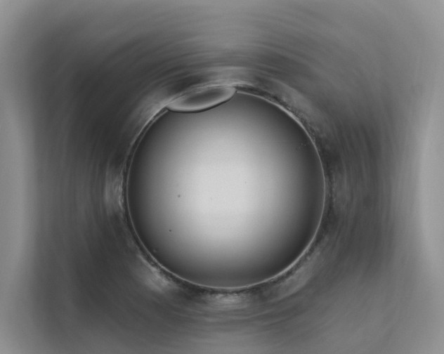 X0000111581177200907161419