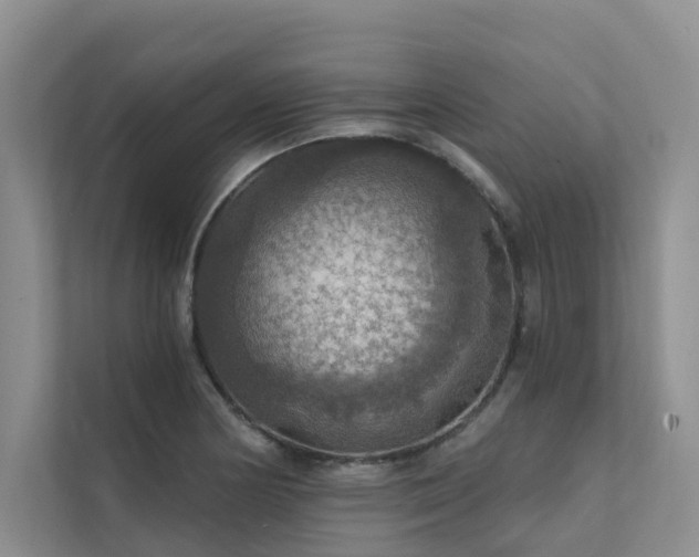 X0000111581178200907161419