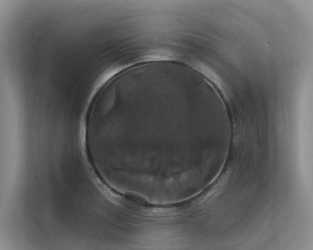 X0000111581179200907161419