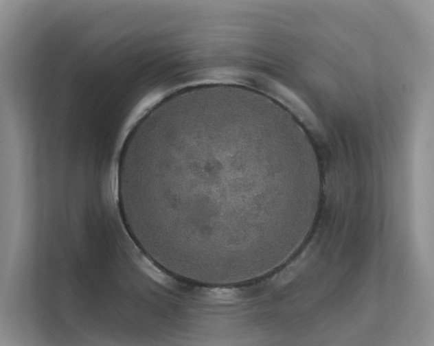 X0000111581180200907161419