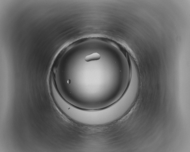 X0000111581181200907161419