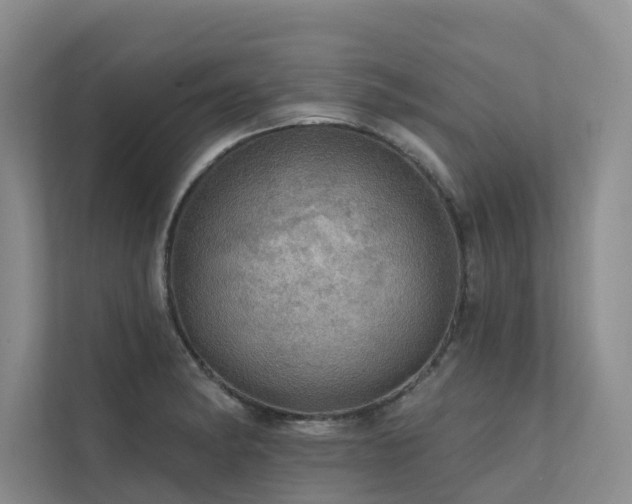 X0000111581182200907161419