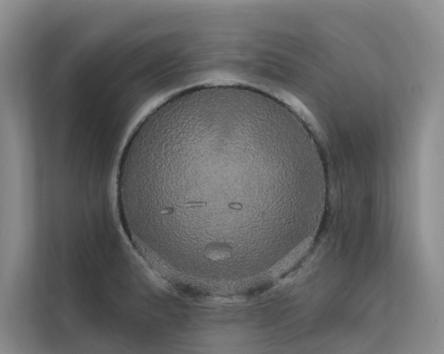 X0000111581183200907161419