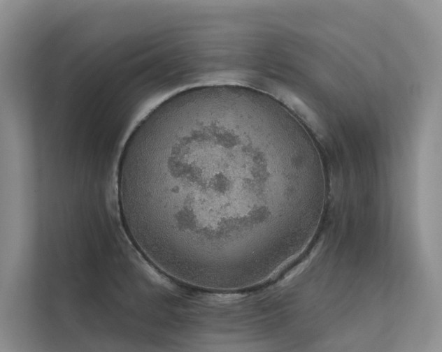 X0000111581184200907161419