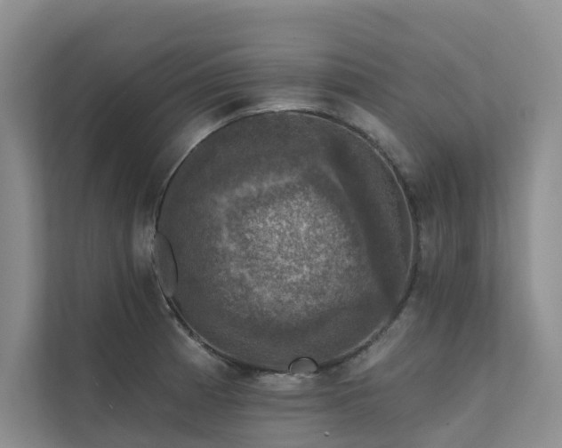 X0000111581185200907161419