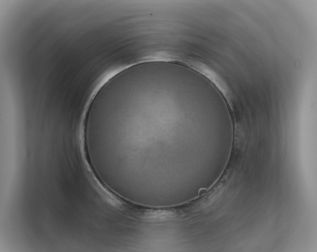 X0000111581187200907161419