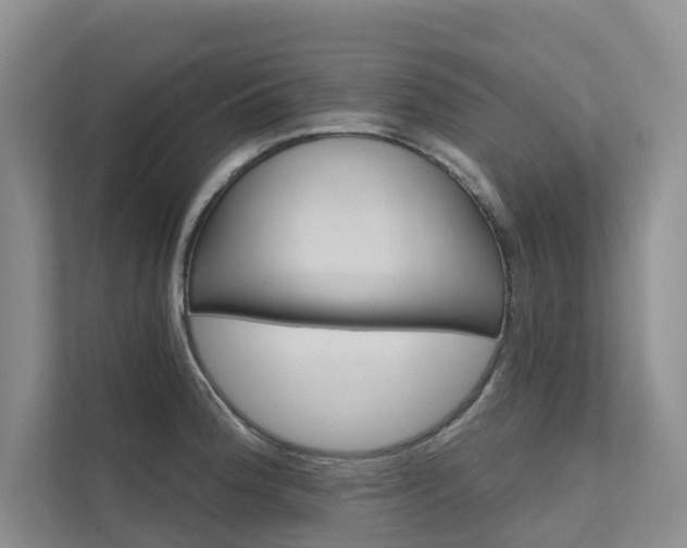X0000111581188200907161419