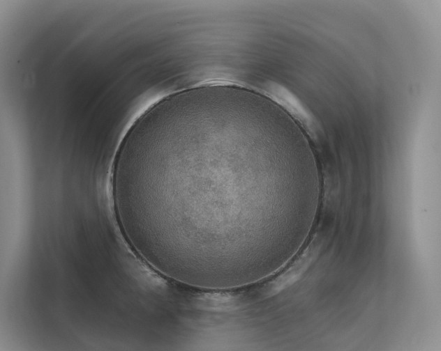X0000111581190200907161418