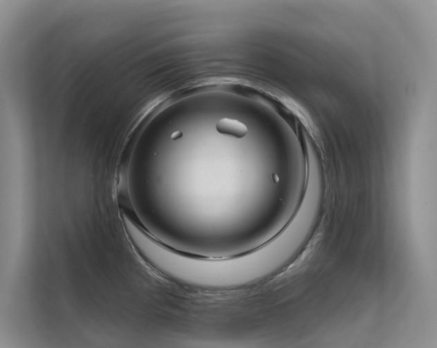 X0000111581193200907161418