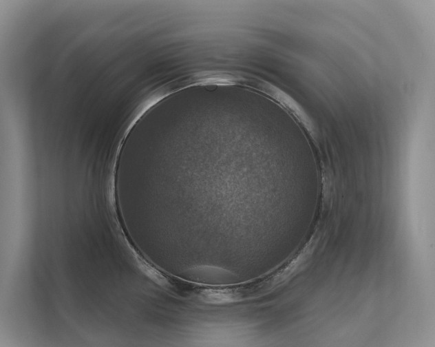 X0000111581194200907161418