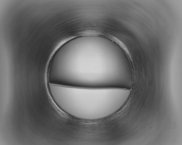 X0000111581195200907161418