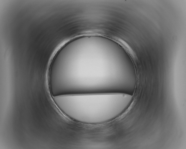 X0000111581196200907161418