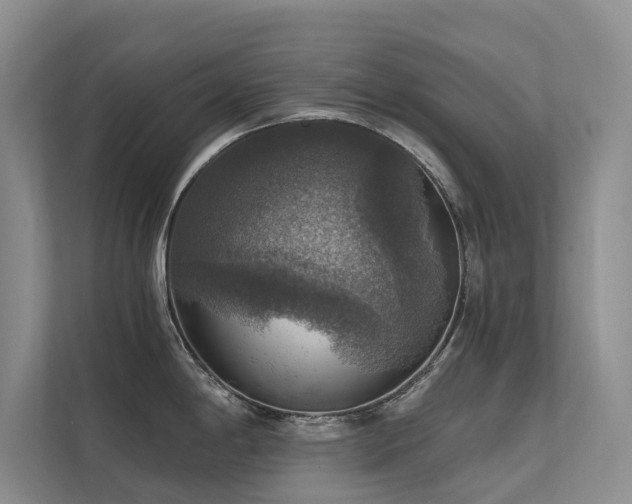 X0000111581198200907161418