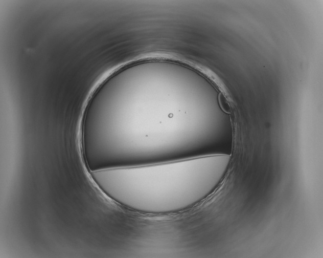 X0000111581199200907161418