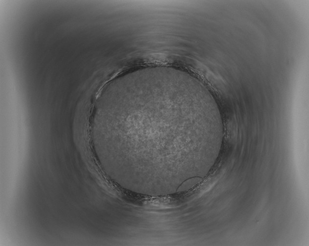 X0000111581201200907161418