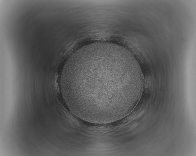 X0000111581202200907161418