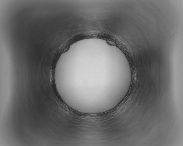 X0000111581204200907161418