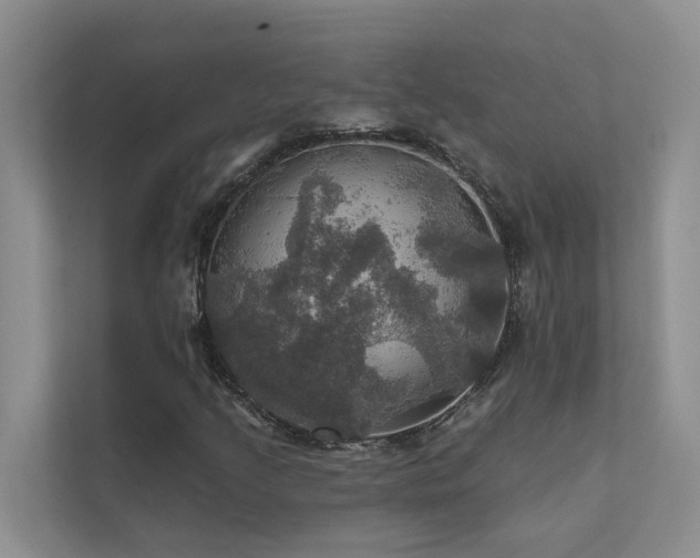 X0000111581205200907161418